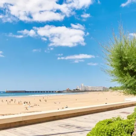 Confortable 4 Pers, Face Plage, Sud - Fr-1-331-87 Daire *